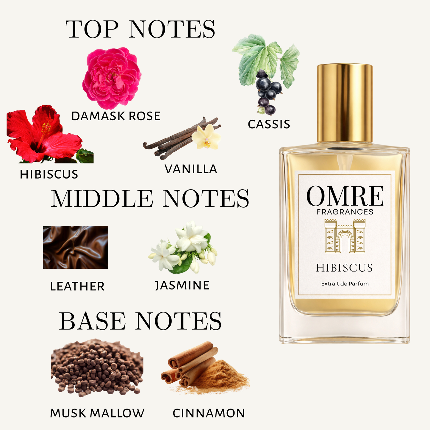 OMRY Hibiscus