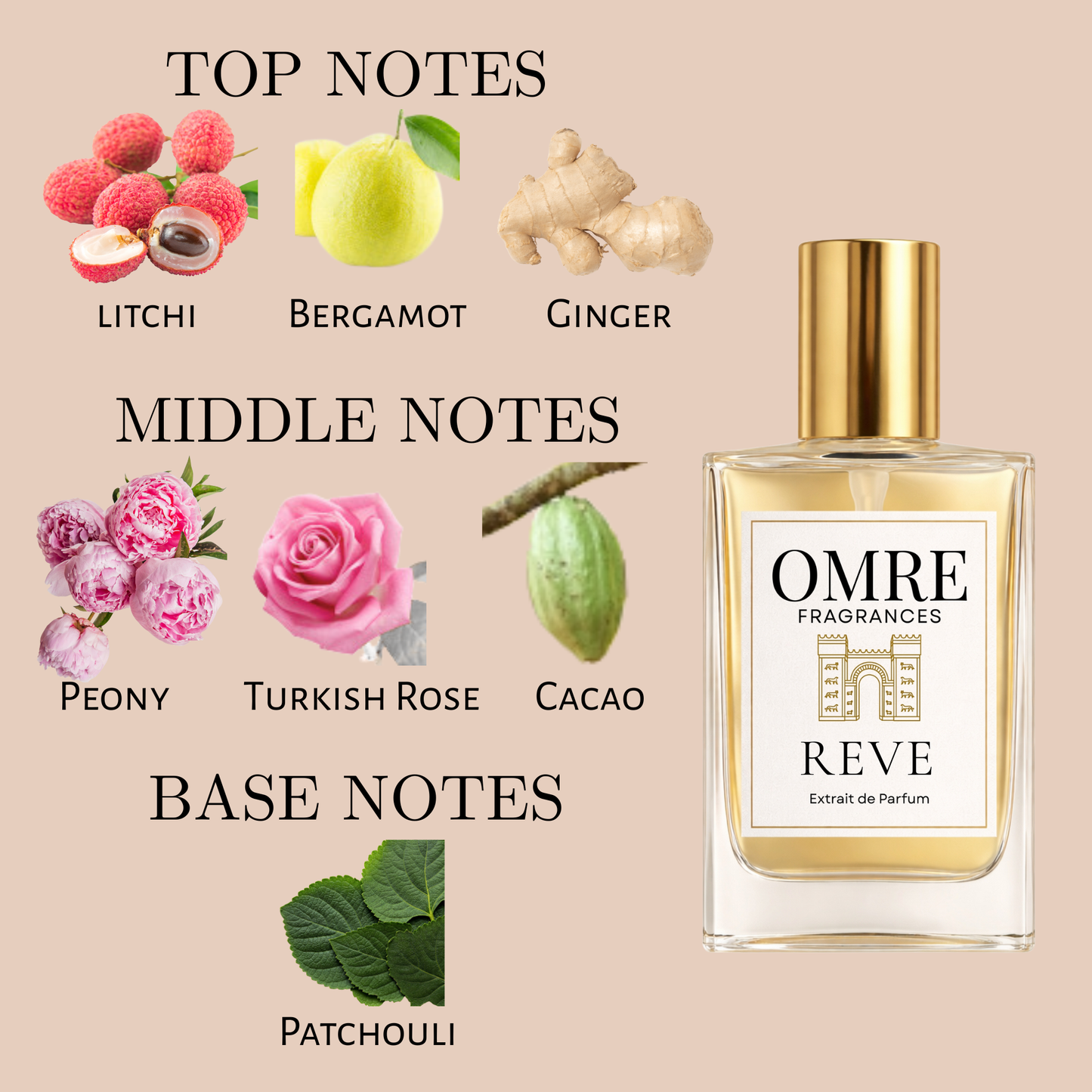 OMRY Reve