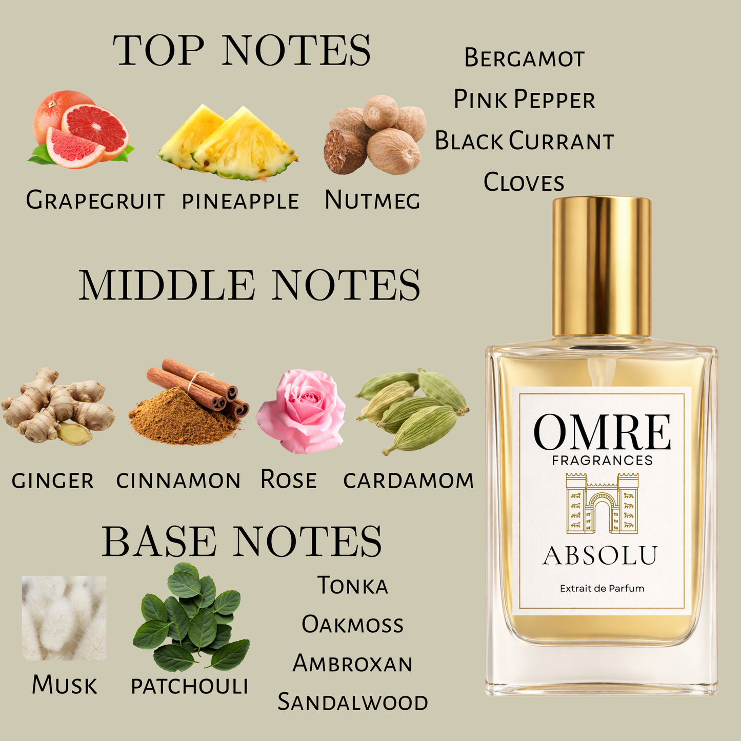 OMRY Absolu