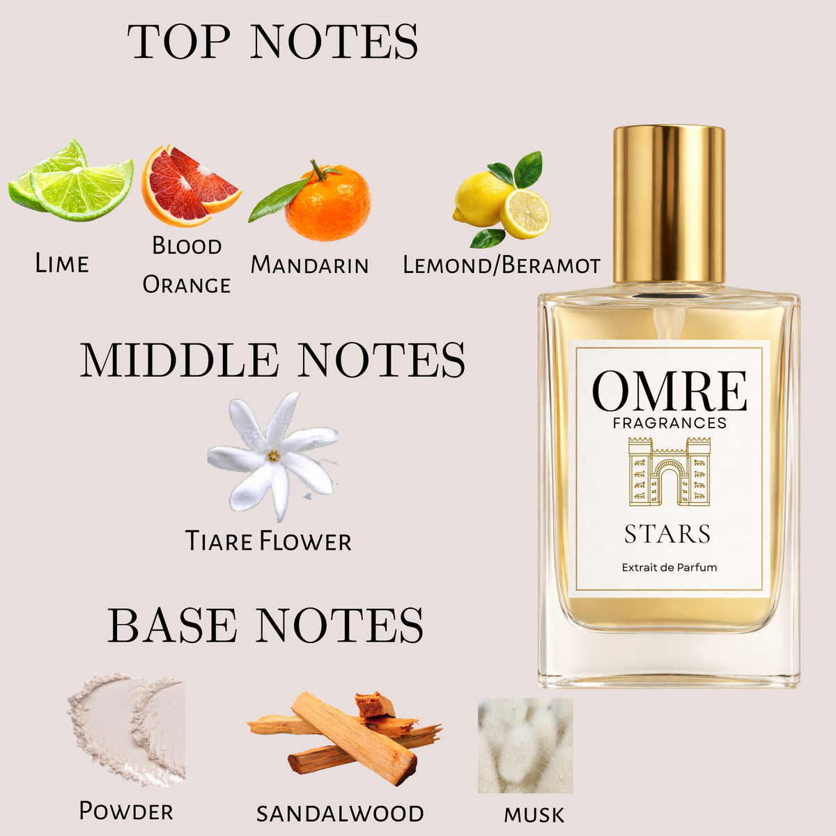 OMRY Stars
