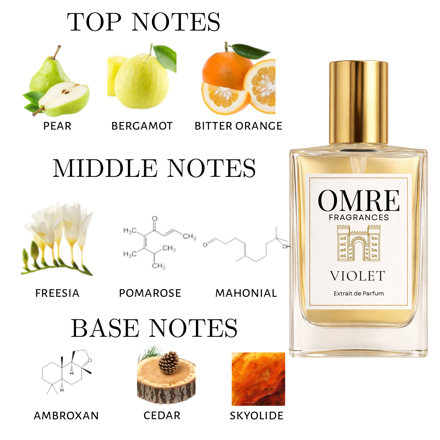 OMRY Violet