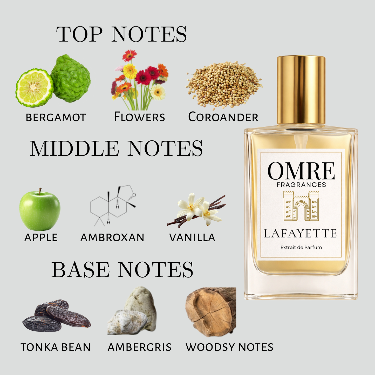 OMRY Lafayette