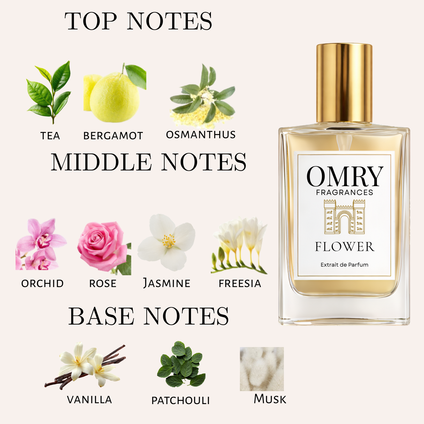 OMRY Flower