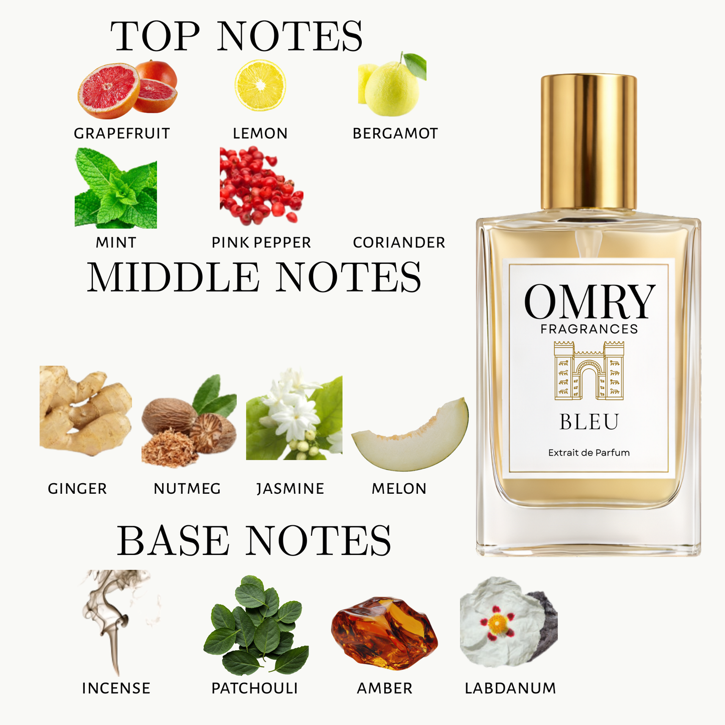 OMRY Bleu