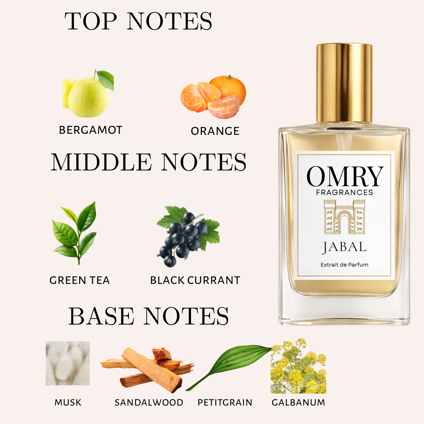 OMRY Jabal